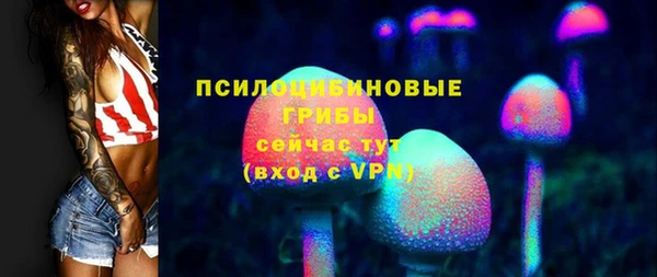 гидра Армянск