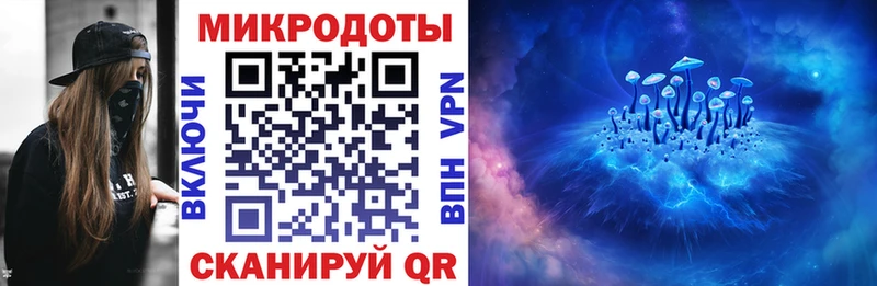 Купить  Суздаль  Псилоцибиновые грибы MAGIC MUSHROOMS 